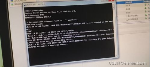 計算機網(wǎng)絡實驗四 配置VLAN與生成樹協(xié)議