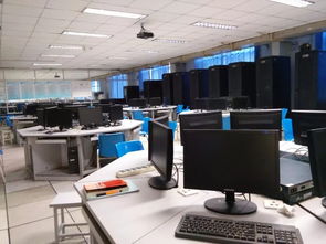 計(jì)算機(jī)網(wǎng)絡(luò)技術(shù) 構(gòu)建數(shù)字時(shí)代的核心基石